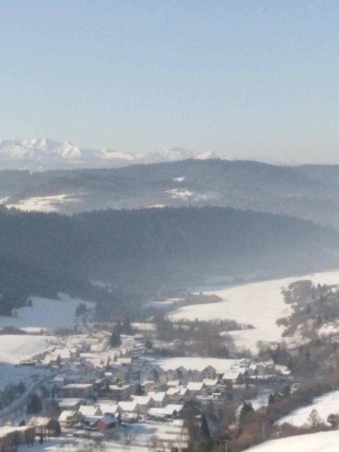 Chata Holica Pieniny Lesnica Eksteriør billede