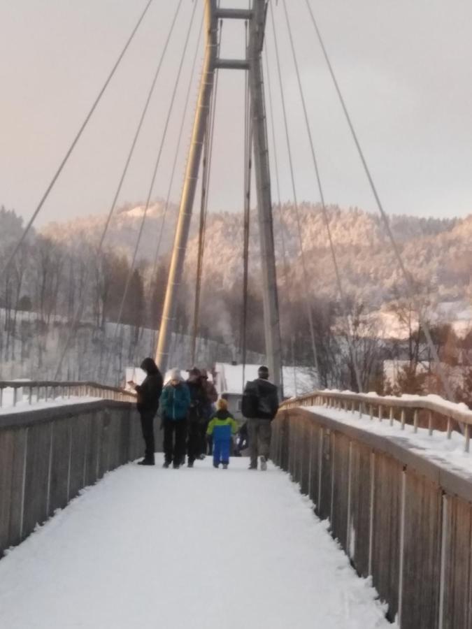 Chata Holica Pieniny Lesnica Eksteriør billede