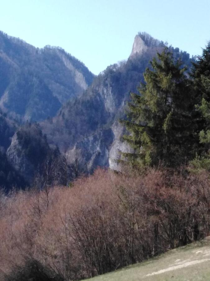 Chata Holica Pieniny Lesnica Eksteriør billede