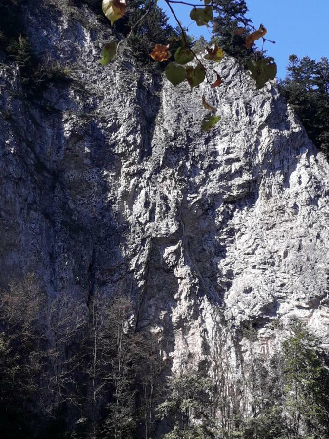 Chata Holica Pieniny Lesnica Eksteriør billede
