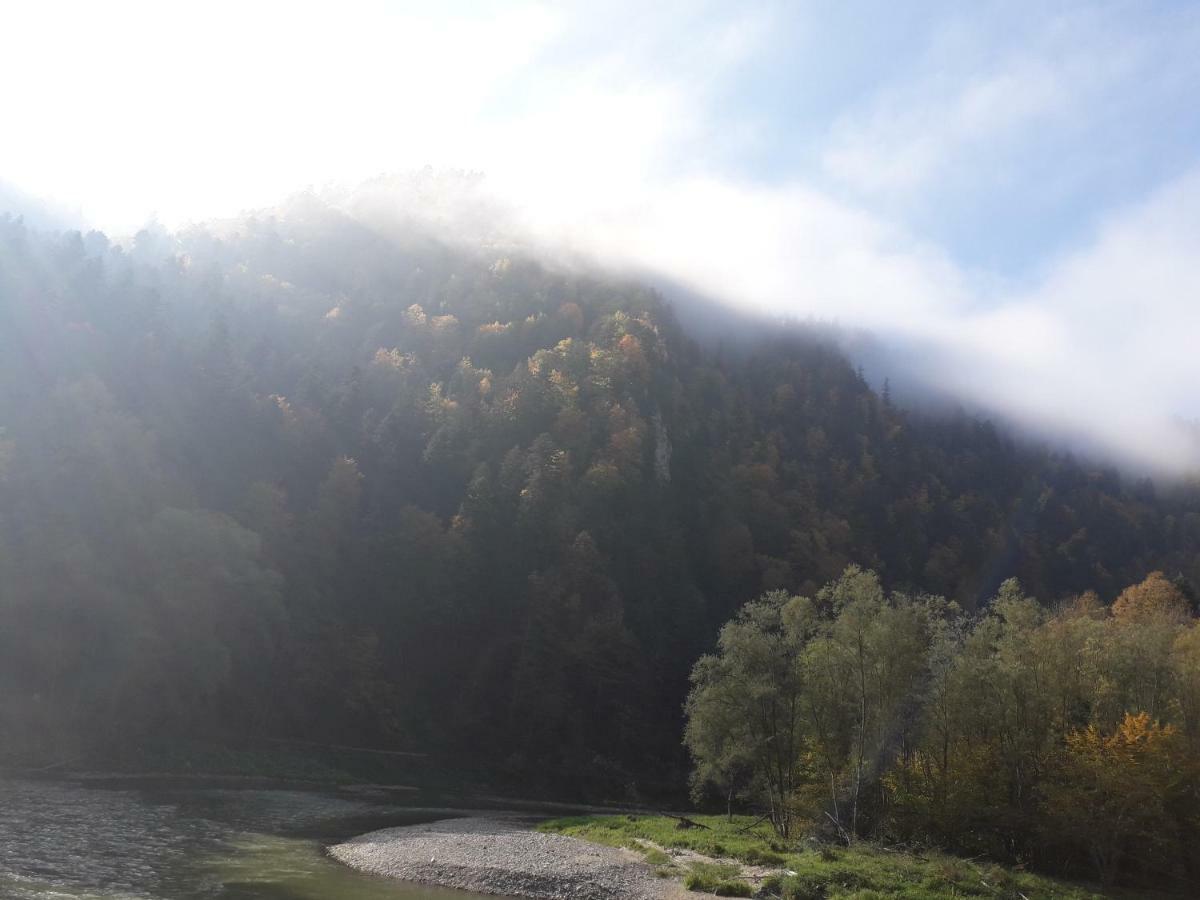 Chata Holica Pieniny Lesnica Eksteriør billede