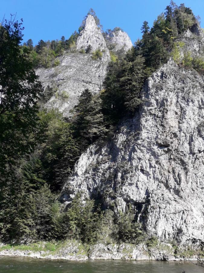 Chata Holica Pieniny Lesnica Eksteriør billede