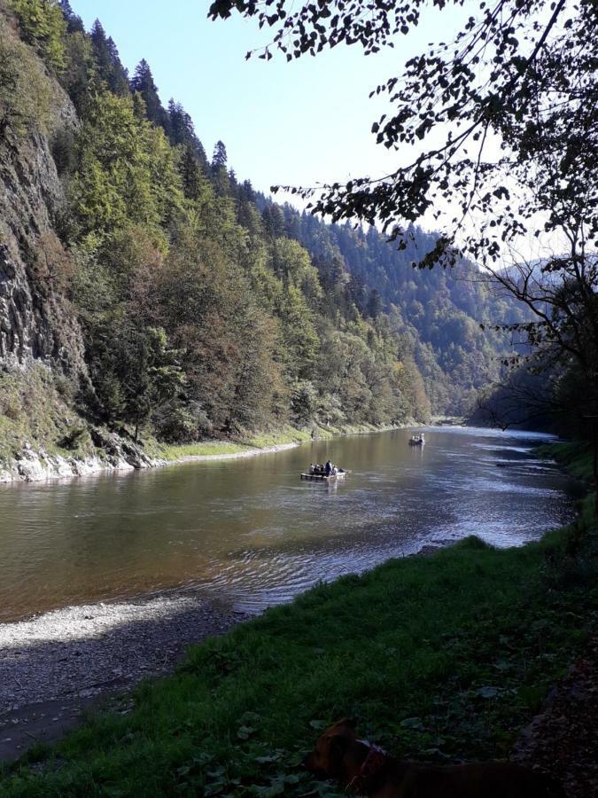 Chata Holica Pieniny Lesnica Eksteriør billede