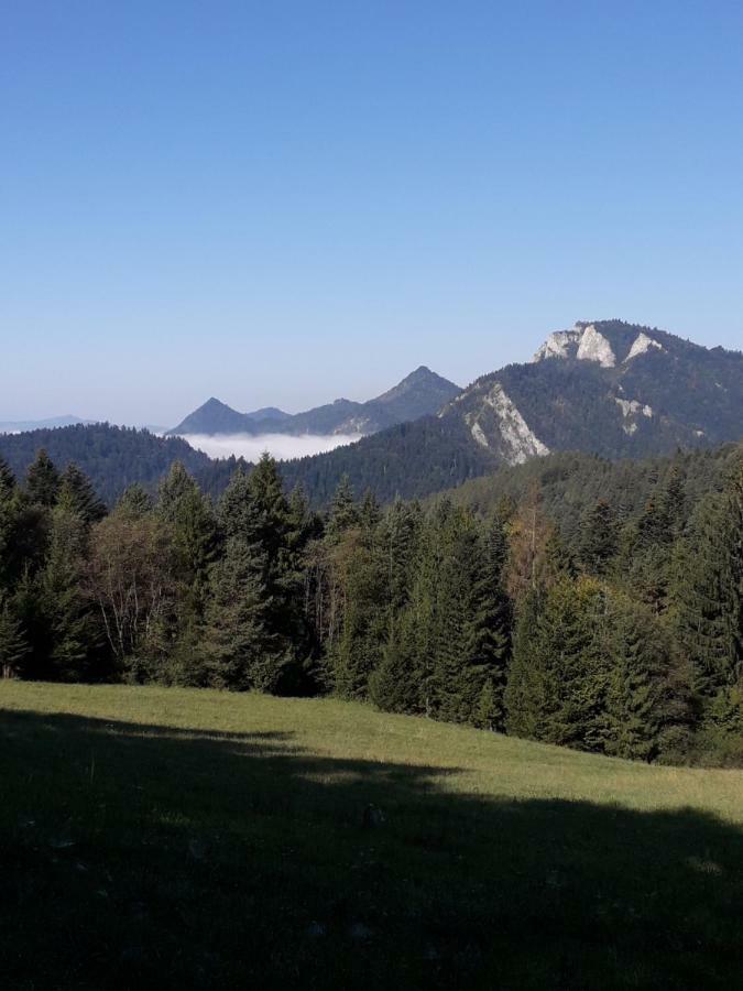 Chata Holica Pieniny Lesnica Eksteriør billede