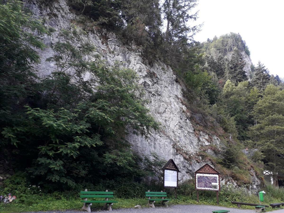 Chata Holica Pieniny Lesnica Eksteriør billede