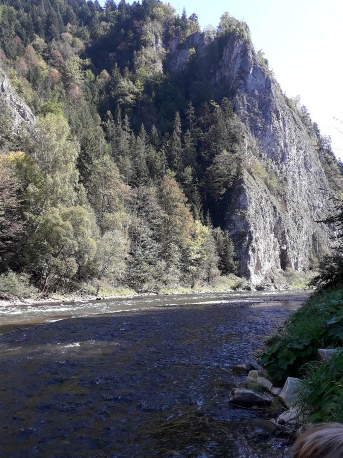 Chata Holica Pieniny Lesnica Eksteriør billede